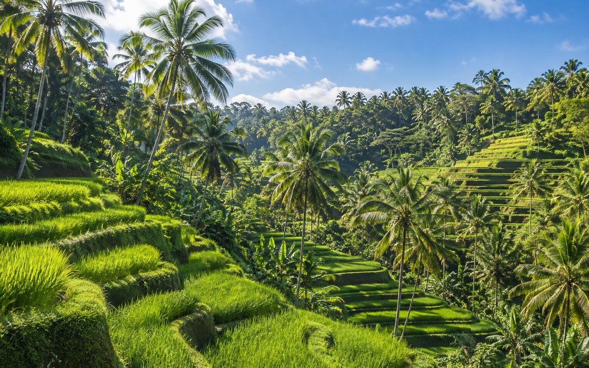 Bali